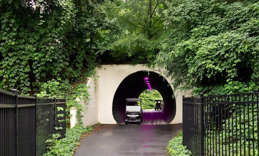 Image 2: Magical Golf Cart Tour Through Peachtree City Trails