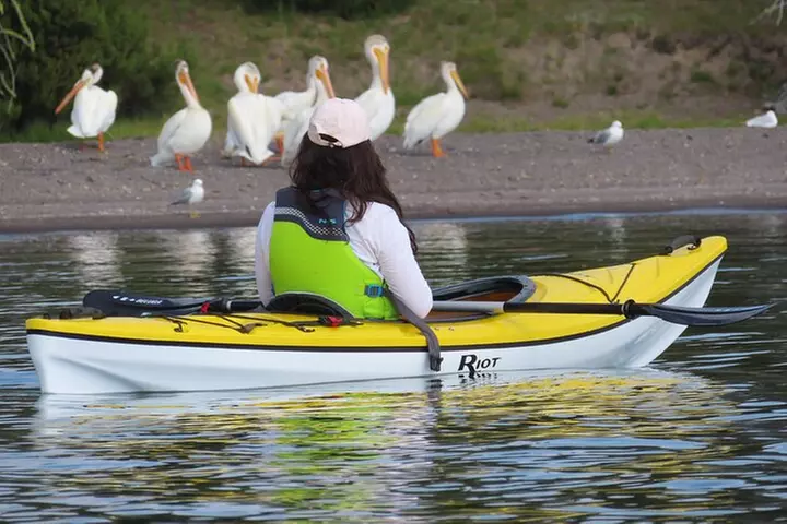 4-Hour Kayak on Yellowstone Lake with Lunch