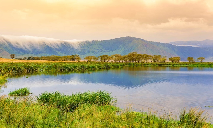 Image 4: ✈ TANZANIE | Du Kilimanjaro à Nairobi - Des hauteurs du Kilimandjar...