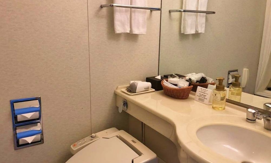 Image 175: ✈ JAPAN | Tokyo - Hotel East21 Tokyo 4*, 3 nights - City break