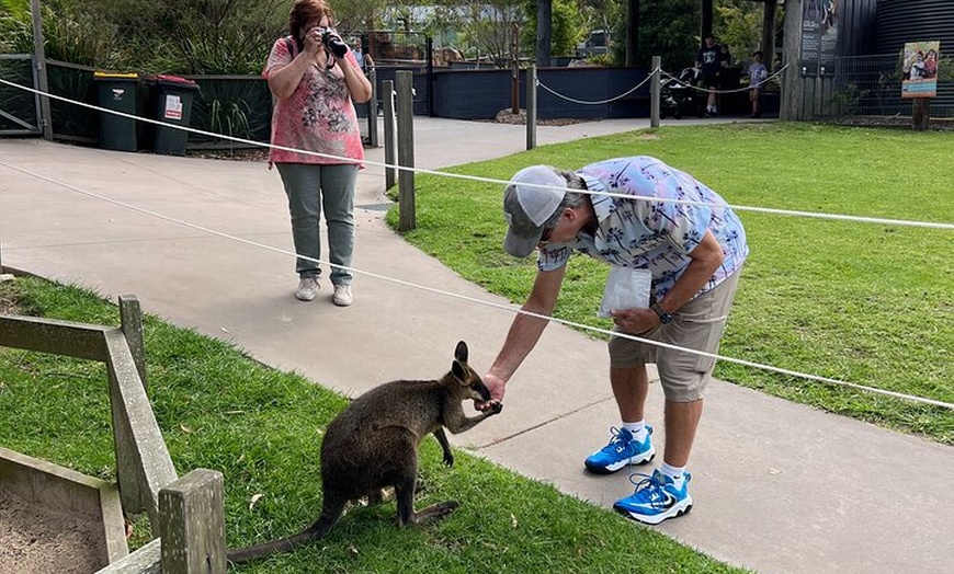 Image 13: South Coast Private Tour & Royal National Park Inc