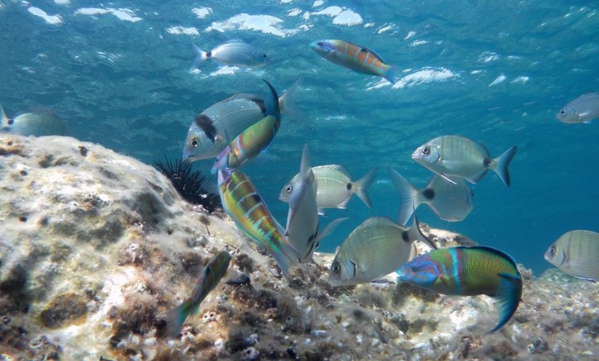Image 12: Tour Familiar en Kayak y Snorkel en San Jose Cabo de Gata