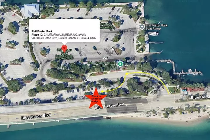 Guided Snorkel Experience, Free Videos in West Palm Beach