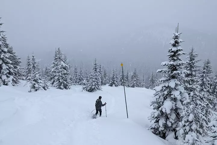 Leisurely Snowshoeing through the Bitterroot Mountains
