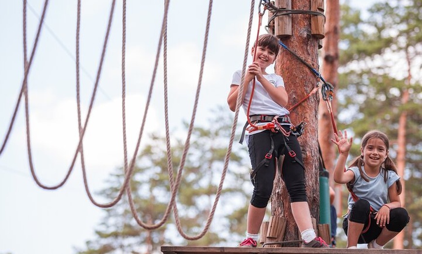 Image 4: High Ropes and Adventure Tree Top Experience