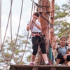 Image 4: High Ropes and Adventure Tree Top Experience