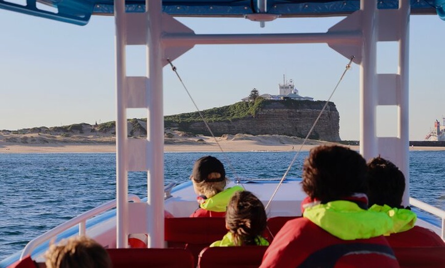 Image 19: Humpback Whale Encounter Tour from Newcastle