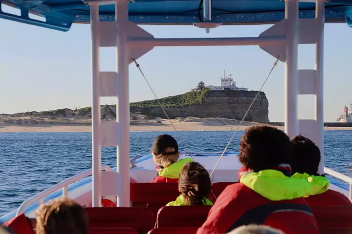 Humpback Whale Encounter Tour from Newcastle