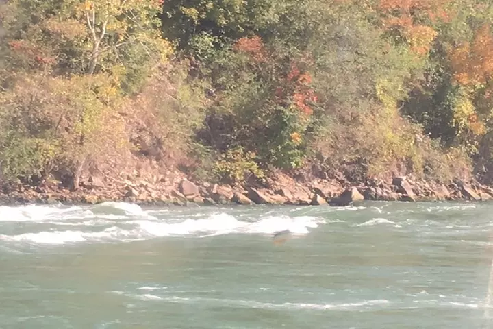 Niagara Falls Sightseeing tour of USA Side plus Jetboat