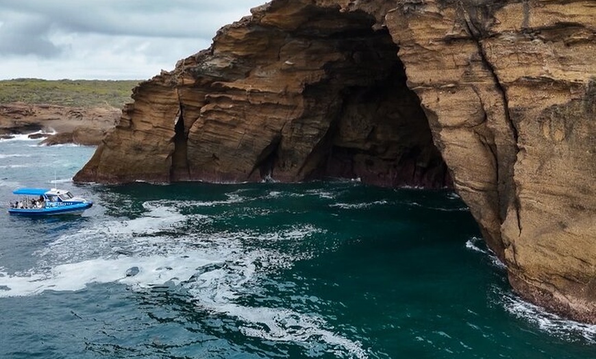 Image 12: Ocean Explorer Tour from Lake Macquarie
