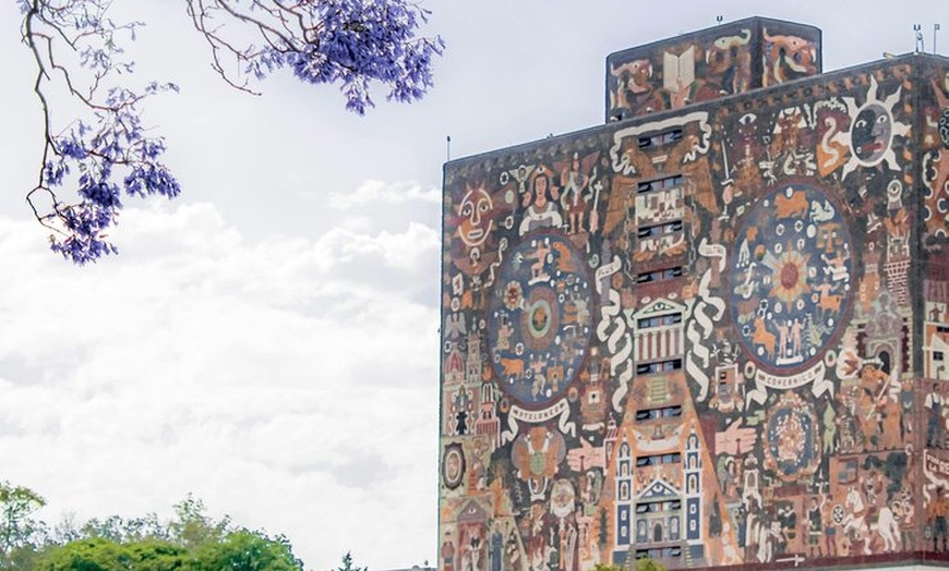 Image 17: Xochimilco floating gardens, Coyoacan and UNAM murals
