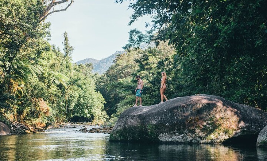 Image 4: Shore Excursion: Josephine Falls Half Day Adventure