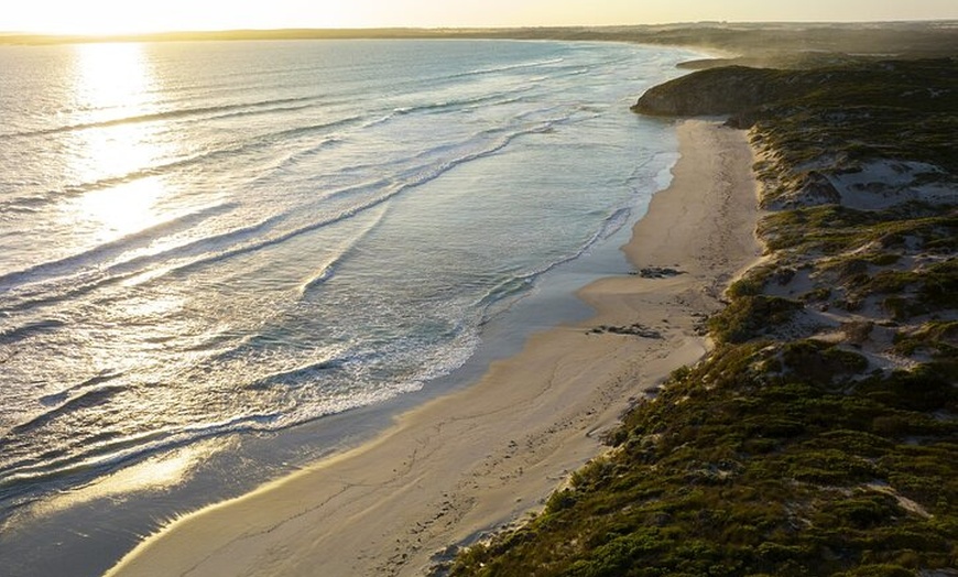 Image 6: Ultimate Buggy Tour in Kangaroo Island