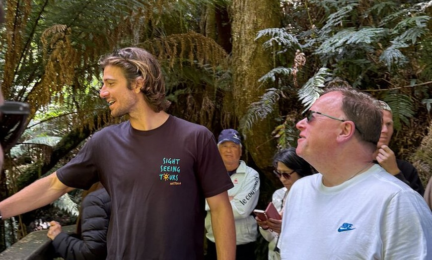 Image 10: Full-Day Great Ocean Road and 12 Apostles Tour