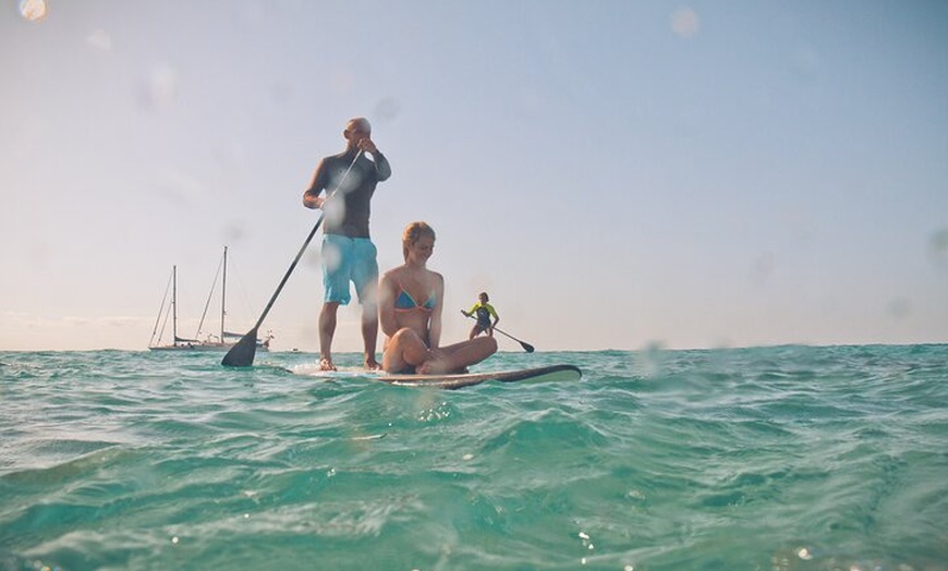 Image 18: Curso de iniciación al SUP en la pintoresca bahía de Morro Jable
