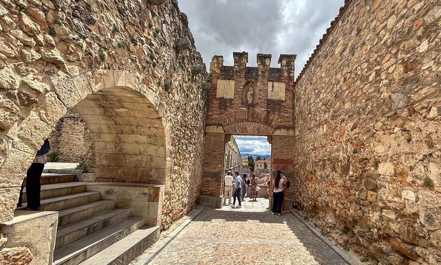 Image 34: Toledo y Segovia Tour de Día Completo con visita opcional a Ávila