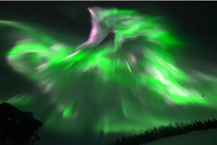 1 Day Shared Tour Arctic Circle and Aurora Viewing in Alaska - Primary Image