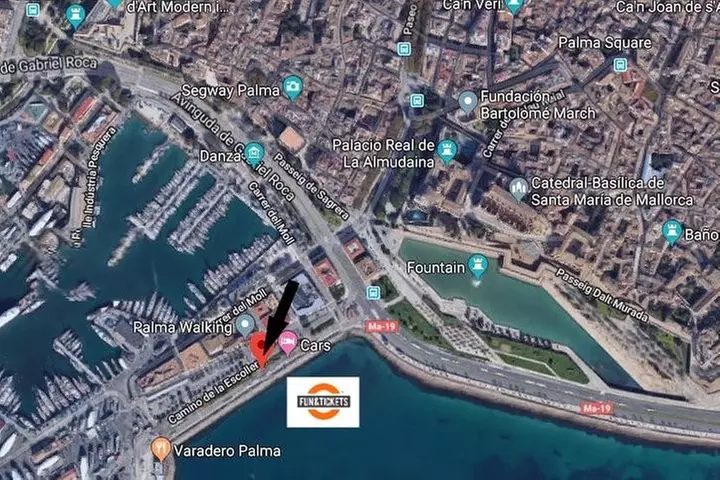 Excursión de día completo a las cuevas de Mallorca : Drach, Hams & ...