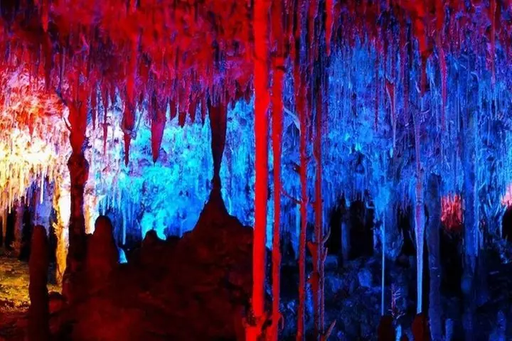 Excursión de día completo a las cuevas de Mallorca : Drach, Hams & ...