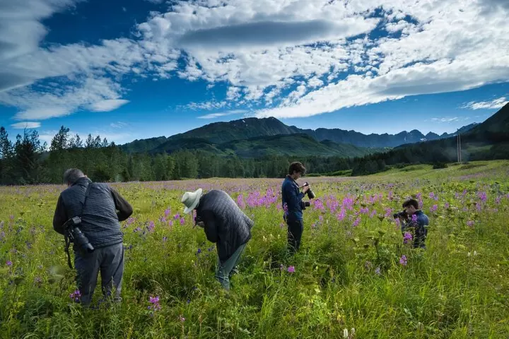 Seward to Anchorage Scenic Transfer Photo Tour