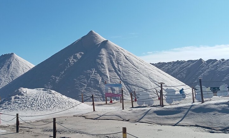 Image 2: Desde Alicante a Tabarca, Santa Pola y entrada a la Laguna Rosa