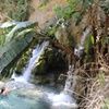 Image 17: 2 Days in Hot Springs Tolantongo Hotel and Private Transportation
