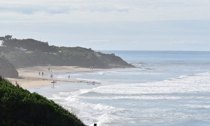 Image 8: Great Ocean Road Tour Plus Koalas, Forest Walk And Morning Tea.