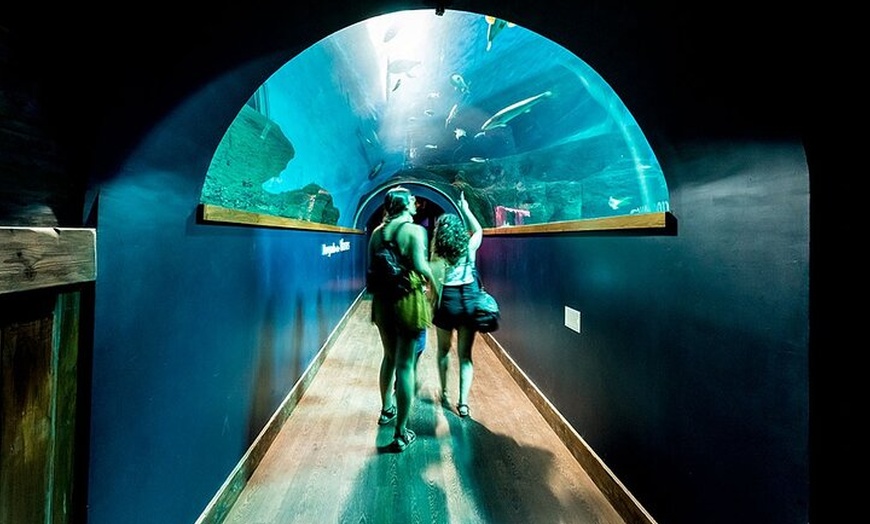 Image 5: Sevilla MegaPass: Principales atracciones, Alcázar y Andalucía