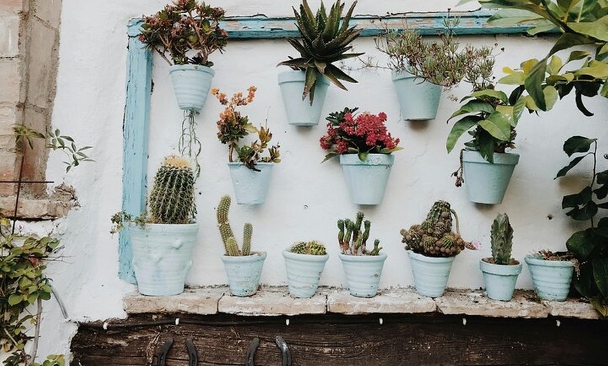 Image 2: Excursión de un día a Córdoba desde Sevilla con visita guiada