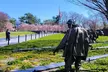 Private Washington DC Tour with Changing of the Guard Ceremony - Second Medium
