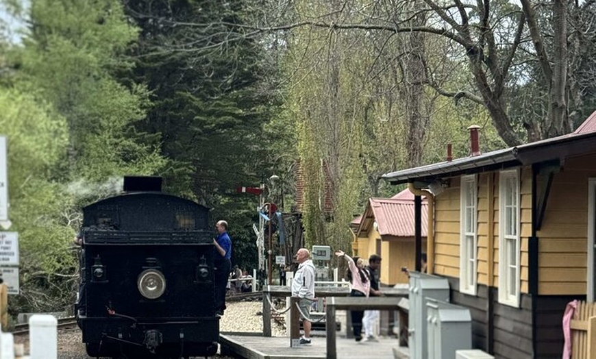 Image 13: Private Puffing Billy Steam Train and Healesville Sanctuary Tours