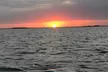 Private Dolphin Watch and Sunset Boat Tour Port Aransas Texas - Second Medium