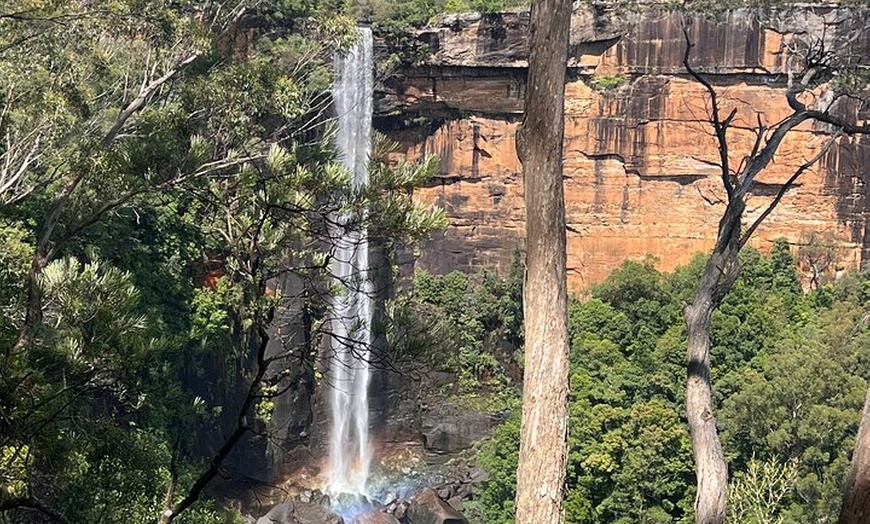 Image 19: Sydney South Coast and Highlands Private Tour