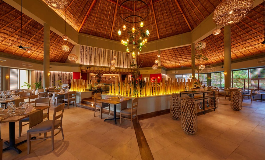 Image 16: ✈ MEXIQUE | Playa del Carmen - Bahia Principe Grand Coba 5*, 5 nuit...