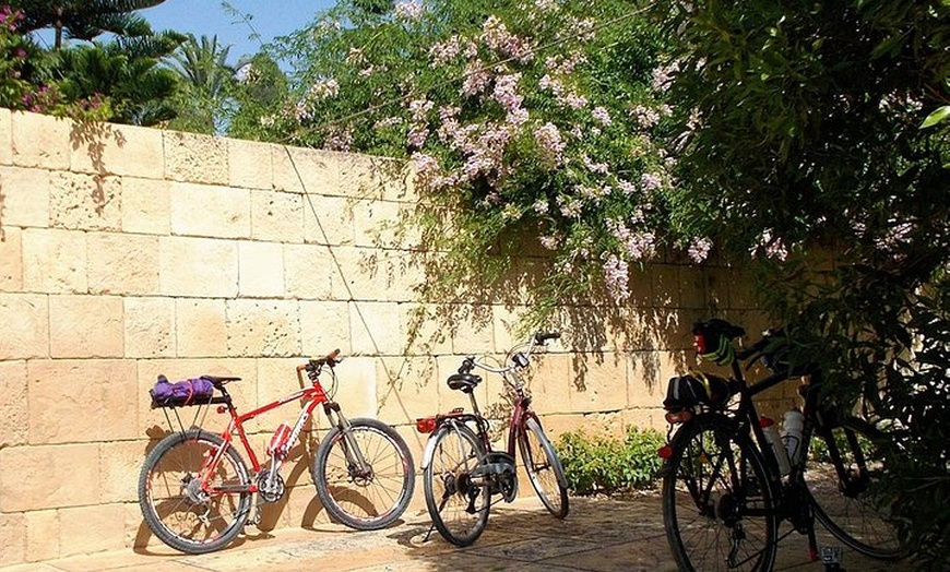 Image 6: Tour en bicicleta alrededor de Alicante