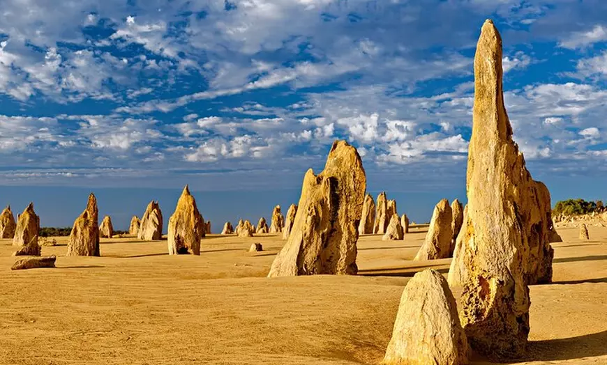 Image 6: Pinnacles Desert Lobster Tour from Perth
