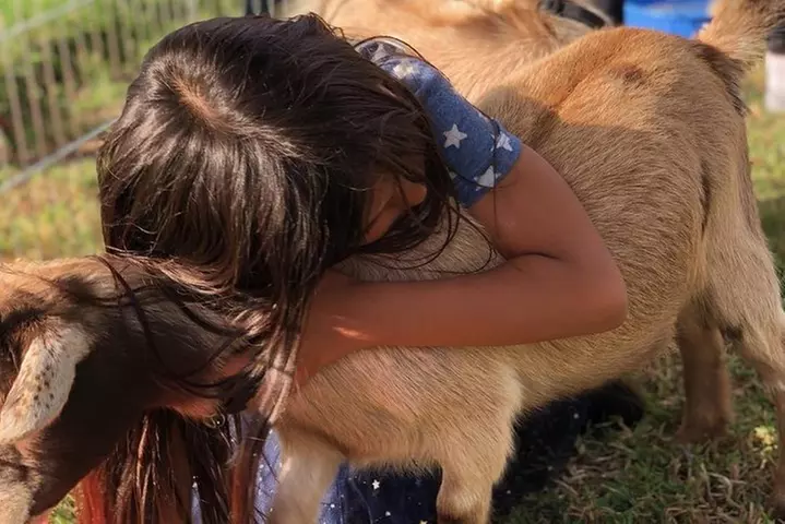 2 Hour Wildflower Horseback Trail Ride experience in Agoura Hills