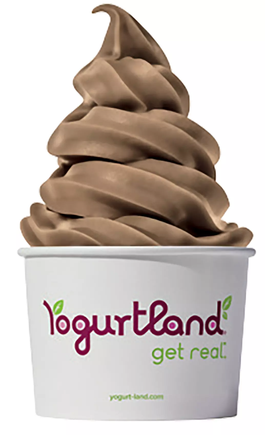 $10 For $20 Worth Of Frozen Yogurt - Second Medium