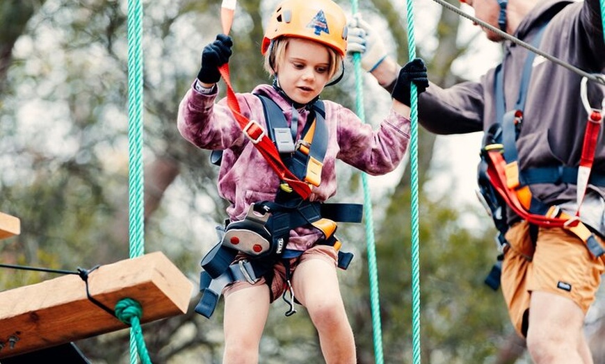 Image 12: Lane Poole Park Dwellingup - Junior Tree Ropes & Ziplining