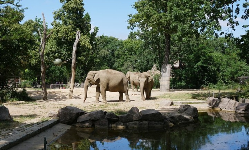 Image 10: Berlin Tierpark Ohne Anstehen Tickets und Individualverkehr