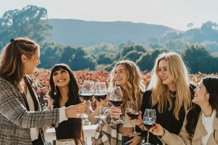Small Group: Ultimate Napa and Sonoma Wine Tour- San Francisco - Primary Image
