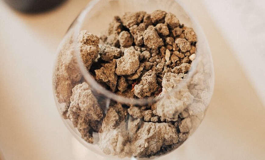 Image 8: RONDA WINE EXPERIENCE Catas de Vino Aceite de Oliva y Tapas