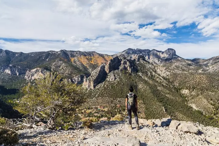 Mount Charleston Tour from Las Vegas