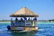 Dolphin Sightseeing Tiki Boat Tour 90 minutes - Second Medium
