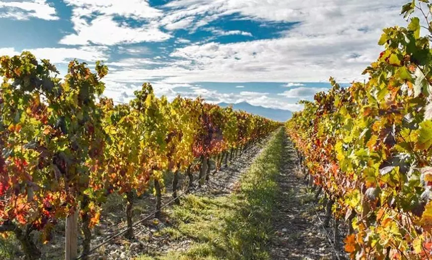 Image 2: La Rioja: Un Viaje a Través de Viñedos y Tradición
