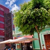 Image 18: ✈ GRAN CANARIA | Las Palmas - Bull Astoria 3*, 4 notti - City break