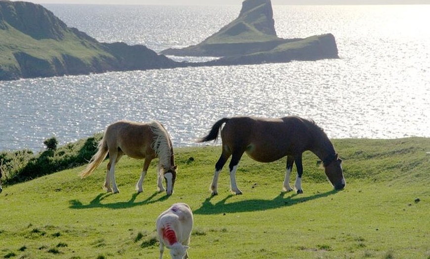 Image 5: Gower Scenery Tour