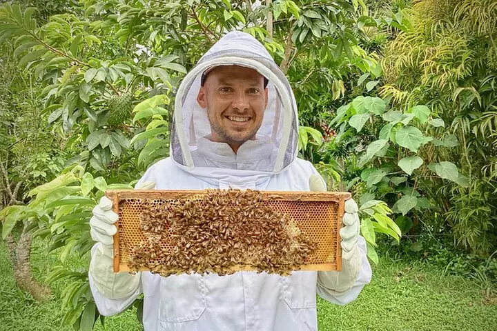 Inside the Hive: Kauai Honey and Bee Tour
