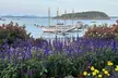 Bar Harbor and Acadia Full Day Private Tour From Bangor - Second Medium