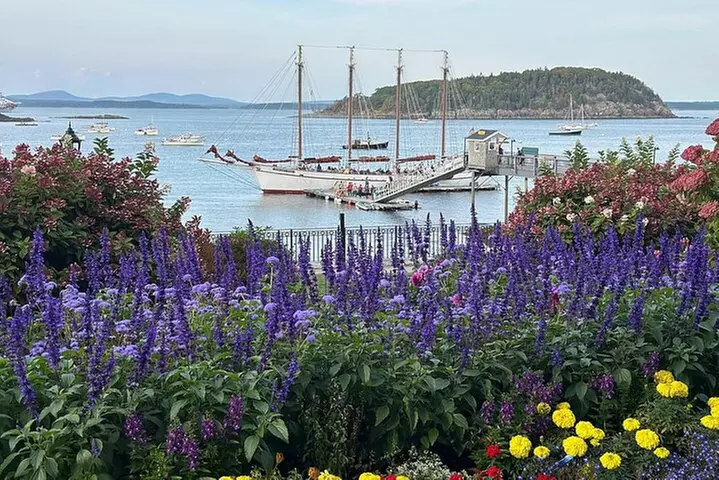 Bar Harbor and Acadia Full Day Private Tour From Bangor